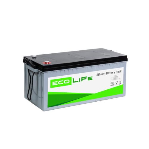 Купить Аккумуляторная батарея EcoLiFe 24-150