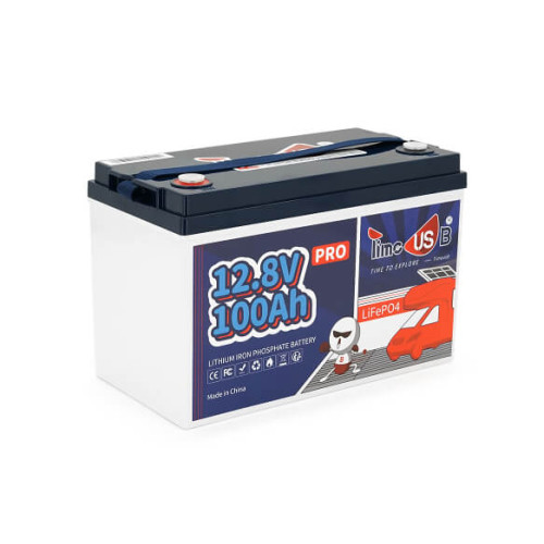 Купити Акумуляторна батарея LiFePO4 Timeusb 12.8V 100Ah Pro, 1280Wh, BMS 100A, 260*168*210мм