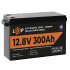 Купити Акумулятор LP LiFePO4 12,8V - 300 Ah (3840Wh) (Smart BMS 200А) з BT пластик