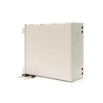 Купить Шкаф антивандальный CSV AV 4U-550