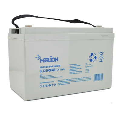 Купить Акумуляторна батарея Merlion 12V 100AH (GL121000M8/01303) GEL