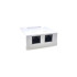 Купить Розетка EServer (WT-2015A) 2хRJ-45, Cat5Е, зовнішня, білий