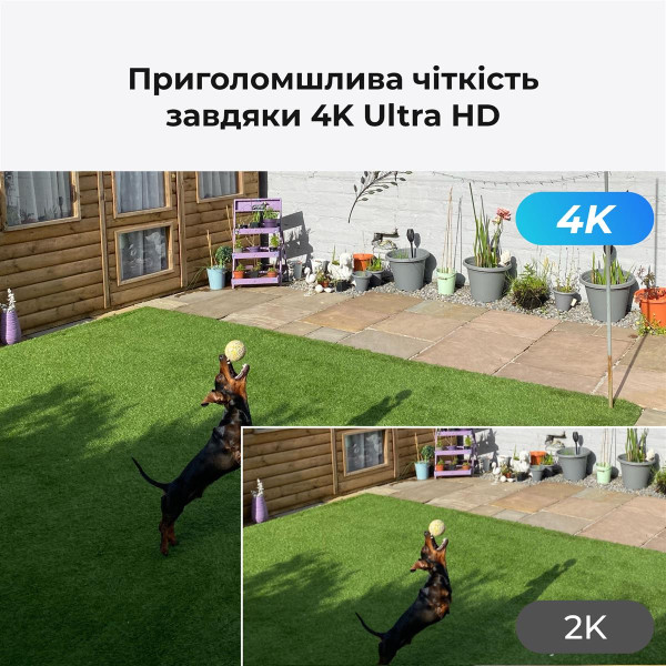 Купити IP-камера Reolink P330 2.8 mm (RLC-810A)