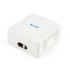 Купить Розетка Cablexpert (NCAC-2F5E-01) 2хRJ-45, Cat5Е, зовнішня, біла